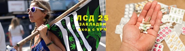 мяу мяу мука Михайловка