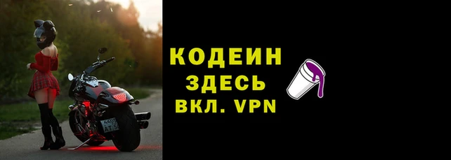 мяу мяу мука Михайлов