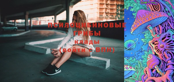 мяу мяу мука Михайлов