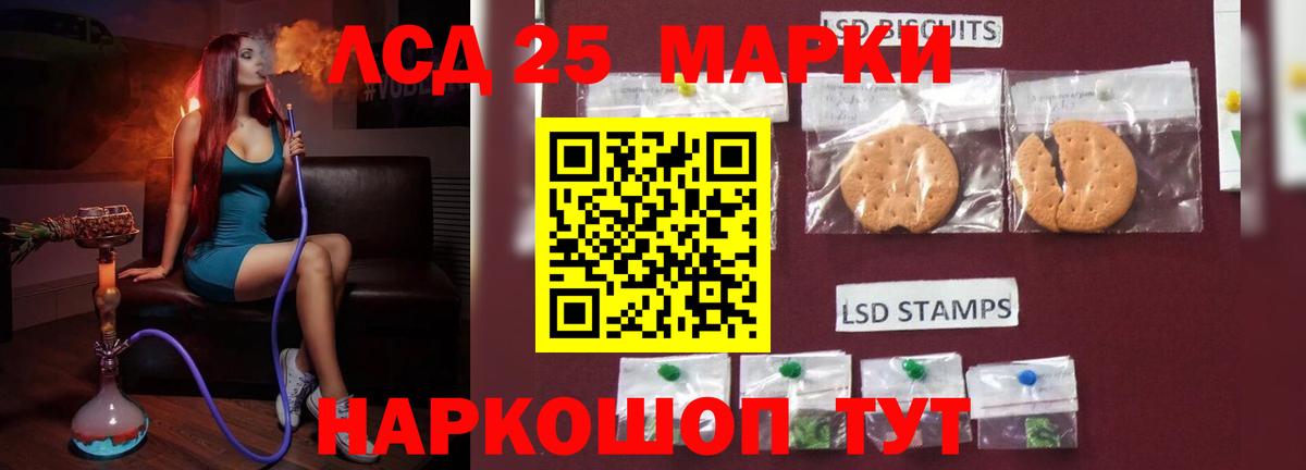 Псилоцибиновые грибы Бахчисарай